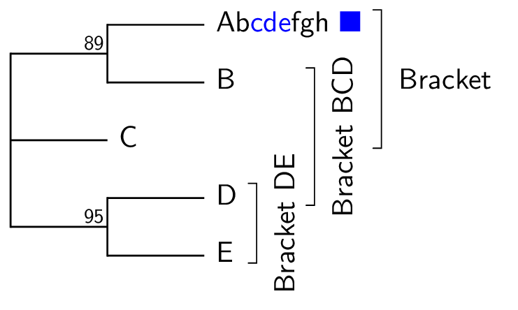 multiBrackets.png